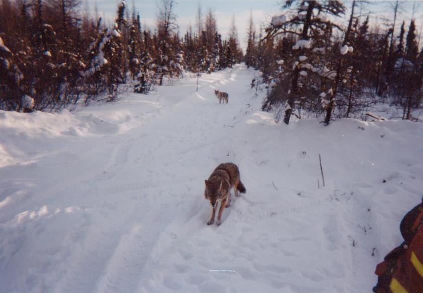 /img/01-002.jpg