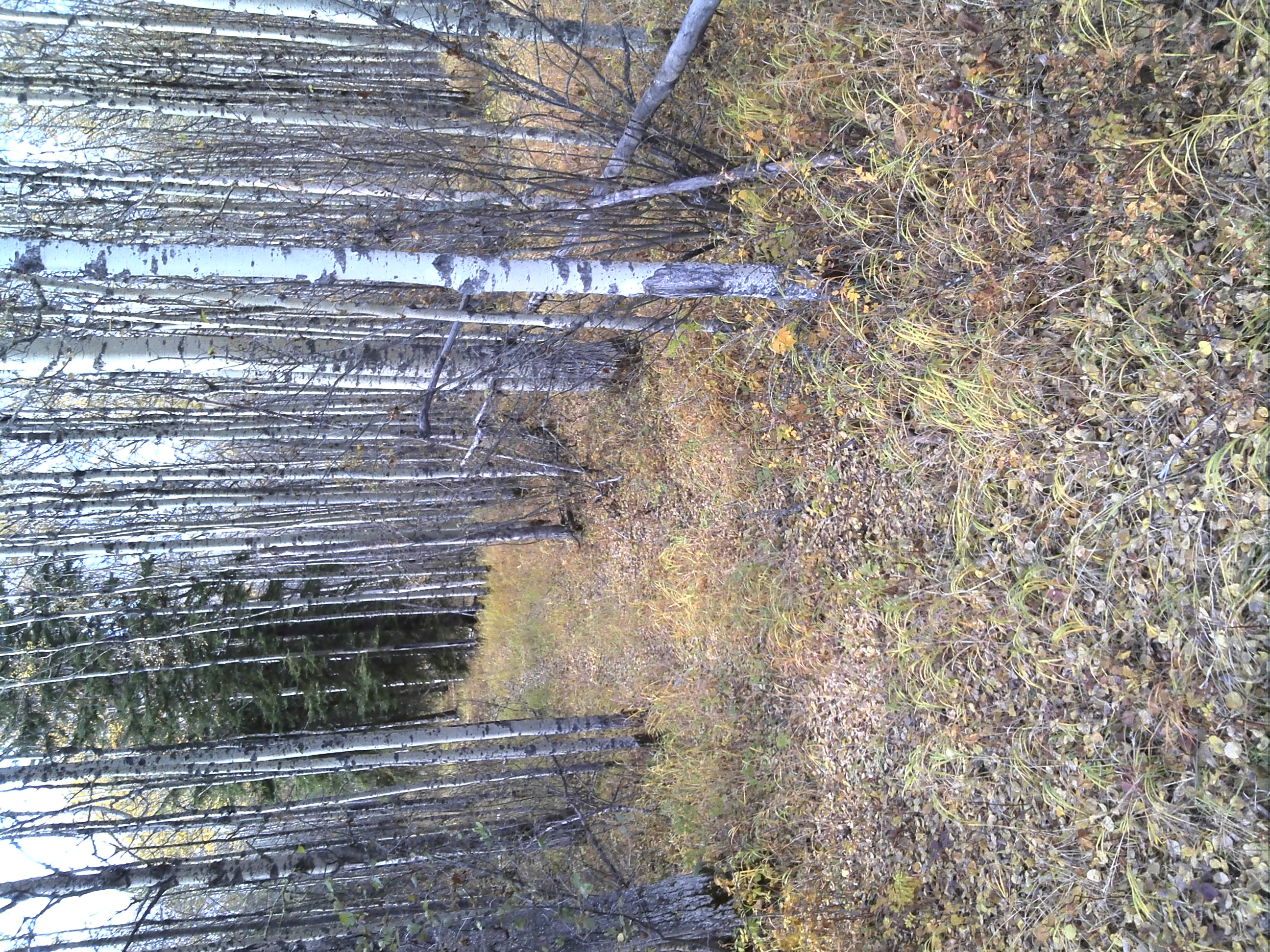 /img/dsc00030.jpg